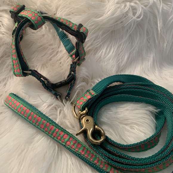 NWOT Preppy Small Dog / Cat Harness & Leash. Kelly w/Pink Dots. Size 14 (<10lbs) - Picture 2 of 6